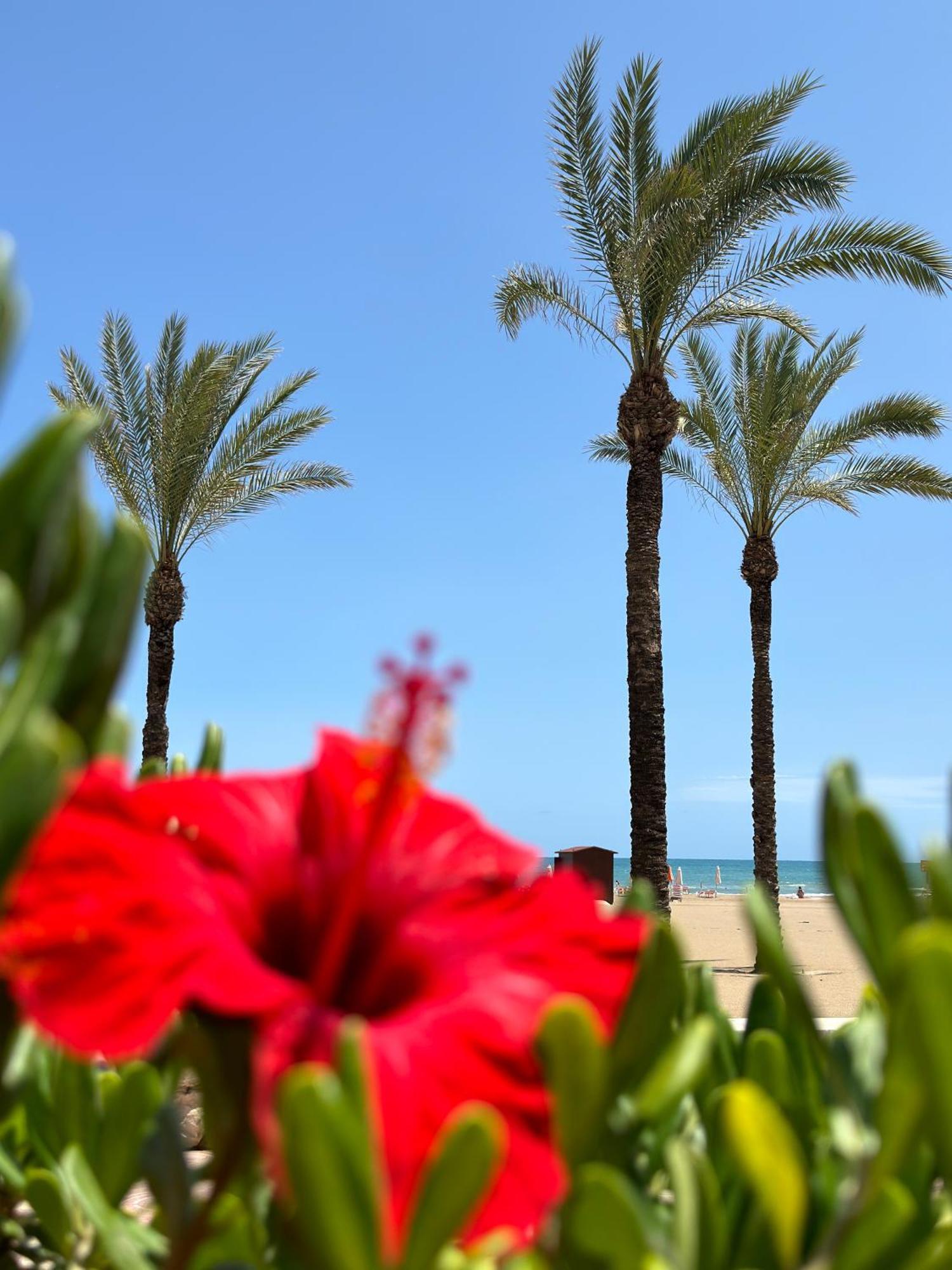 Luxury Apartment Y After Renovation In Cullera With Parking Exteriér fotografie